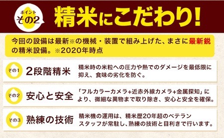 白米 ひのひかり 定期便 3