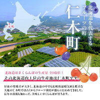 紅秀峰 2Lサイズ以上 2