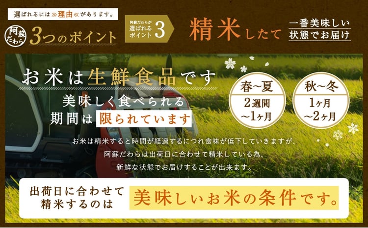 阿蘇だわら 定期便 4