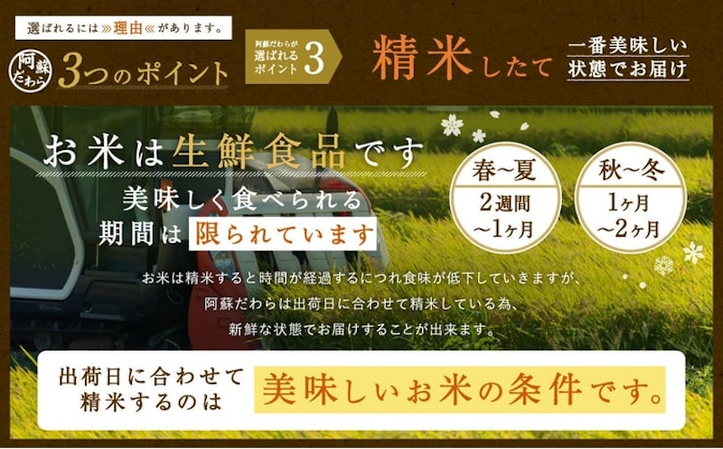 阿蘇だわら 定期便 4