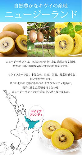 22年 お取り寄せキウイのおすすめ人気ランキング10選 Mybest