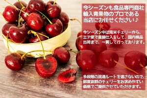 南米チリ産チェリー 4