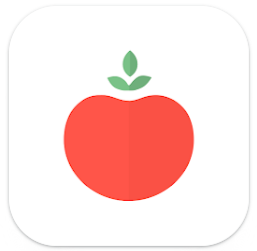 Pomodoro Timer 1