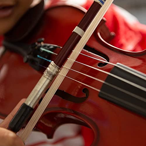 バイオリン弓のおすすめ人気ランキング41選【2024年】 | マイベスト