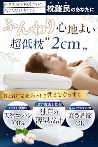 〚値下げ〛睡眠革命 楽天市場】【ポイント10倍】ルルド メディカルハグピロー AX