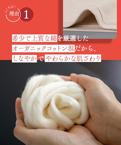 トップス（8分袖） 3