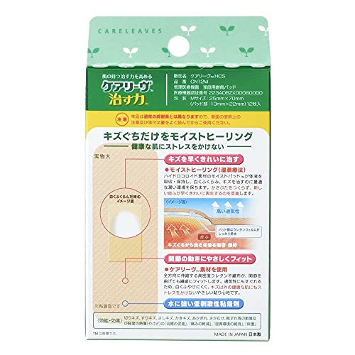 治す力 2