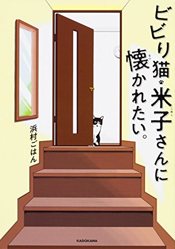 ビビり猫・米子さんに懐かれたい。 1