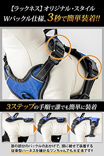 ラックネス 4