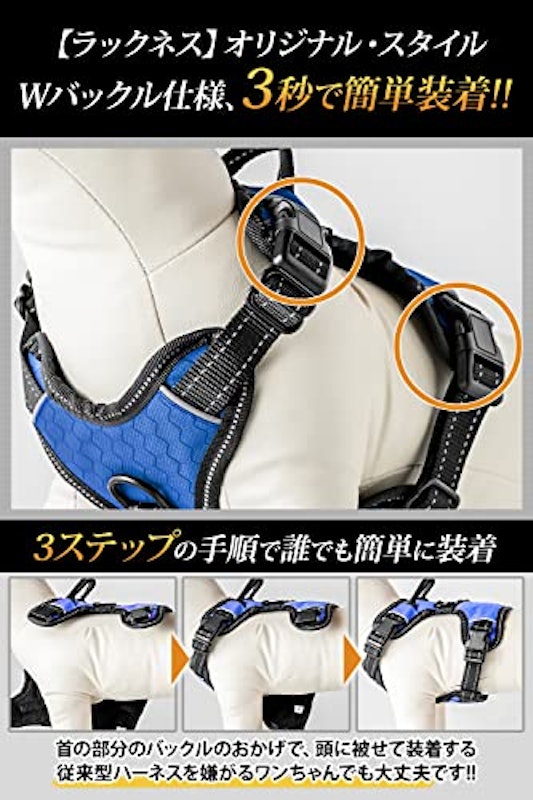 ラックネス 4