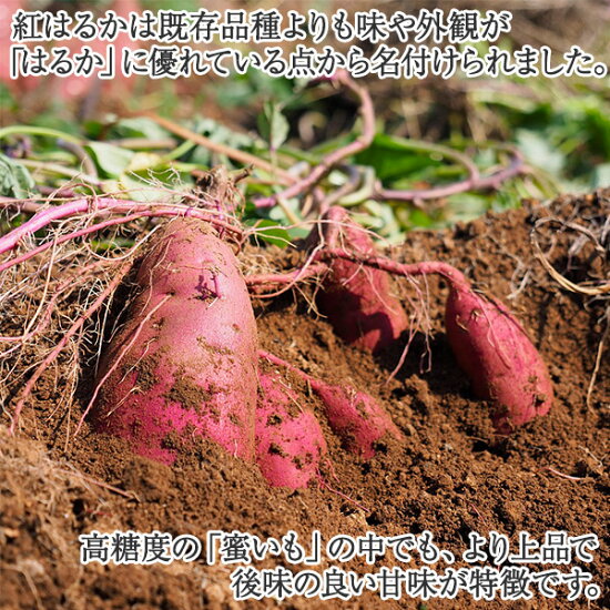 九州産干し芋食べ比べセット 4