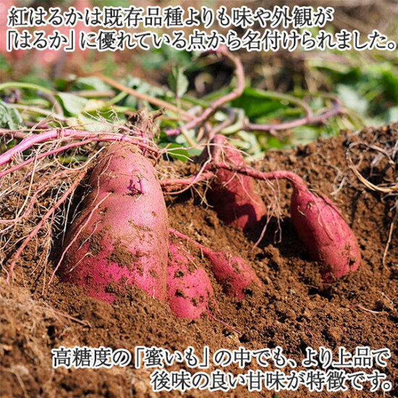 九州産干し芋食べ比べセット 4