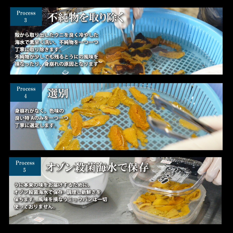 北海道産塩水ムラサキウニ 9
