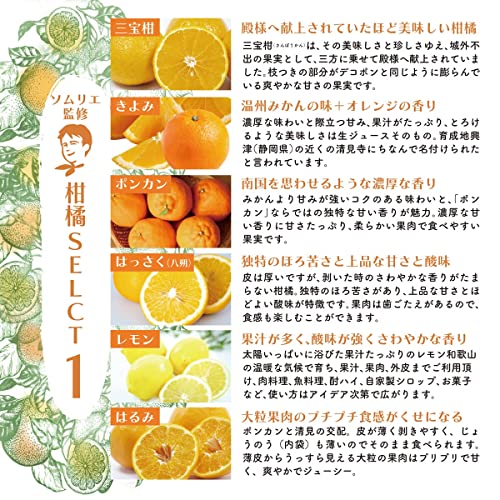 和歌山県産 ソムリエ厳選 柑橘食べ比べ セット 6