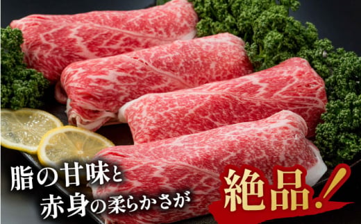 佐賀県産 黒毛和牛 切り落とし 2