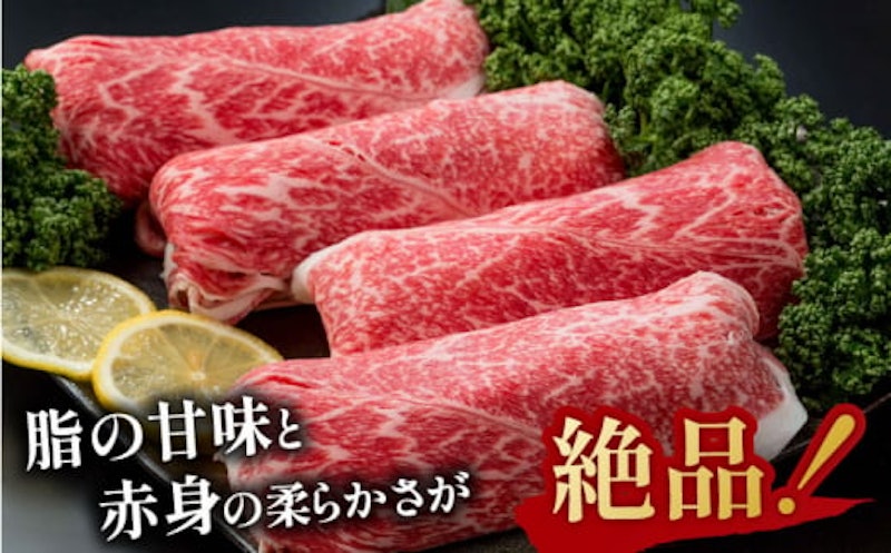 佐賀県産 黒毛和牛 切り落とし 2