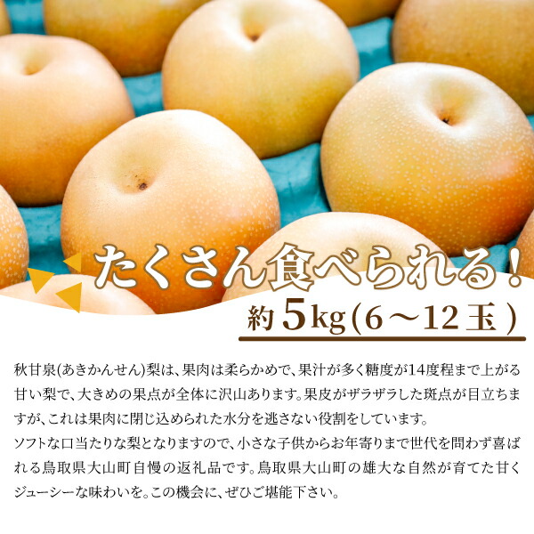 秋甘泉梨 5