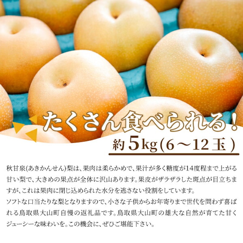 秋甘泉梨 5