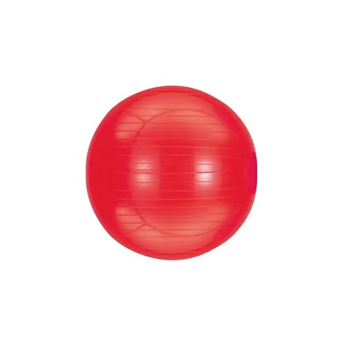 ジムボール45 1