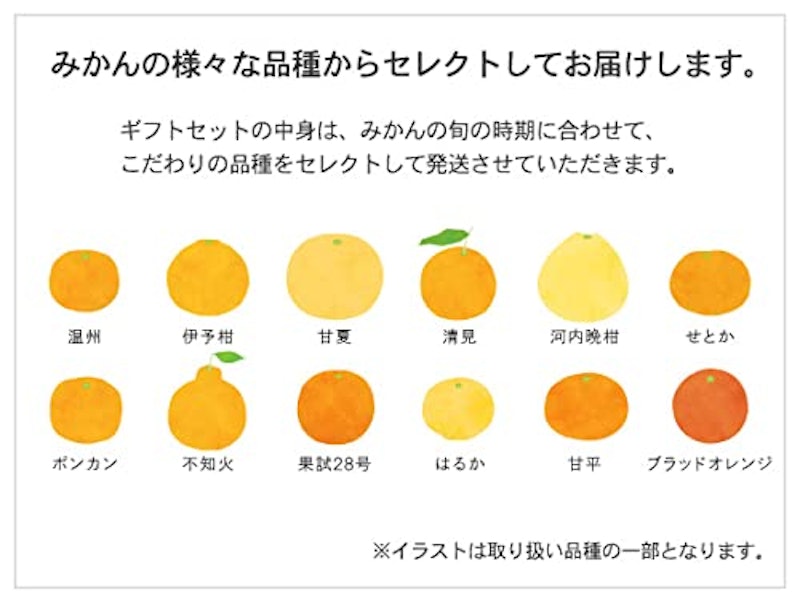 10FACTORY みかんゼリー 4