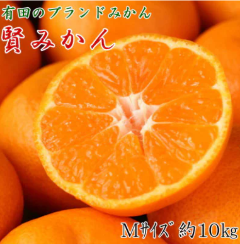賢みかん 1
