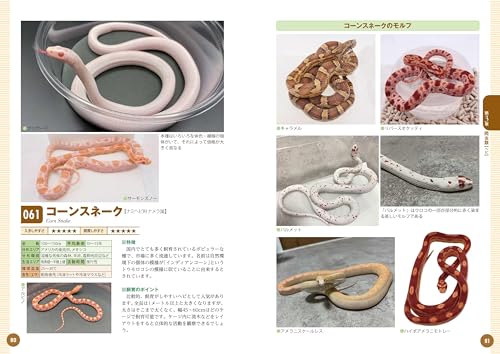 飼いたい種類が見つかる爬虫類・両生類図鑑 6