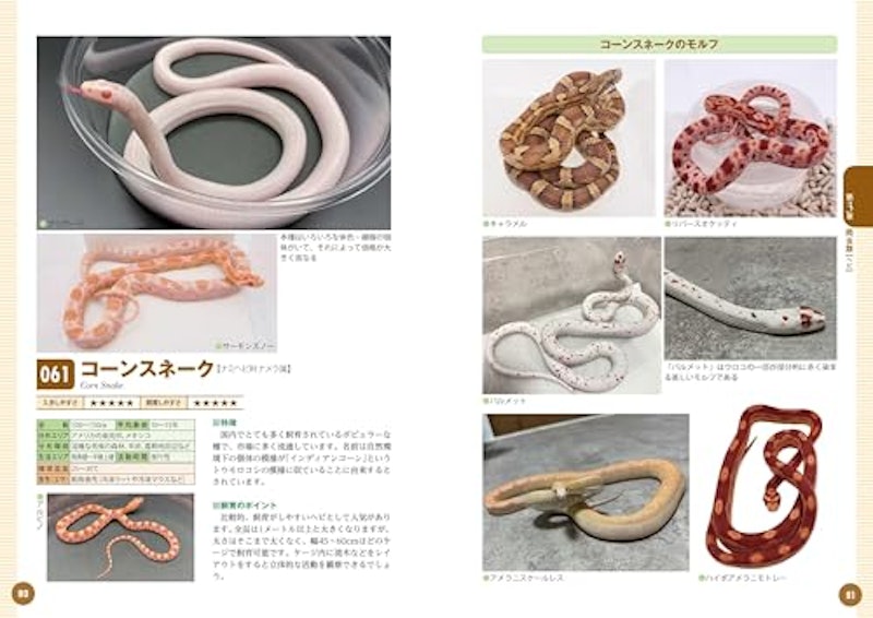 飼いたい種類が見つかる爬虫類・両生類図鑑 6