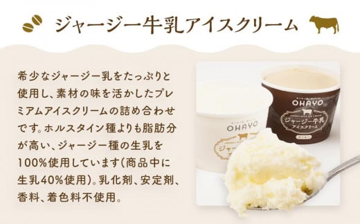 オハヨー乳業 ジャージー牛乳アイスクリーム 2