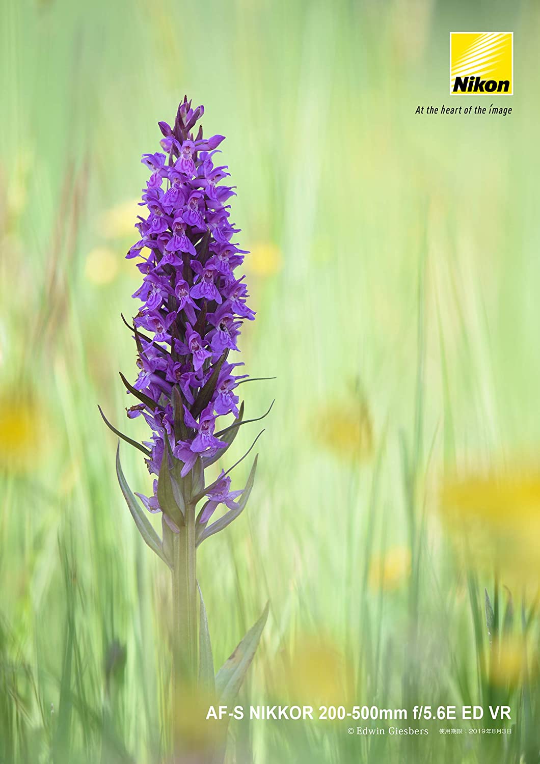 AF-S NIKKOR 200-500mm f/5.6E ED VR 8