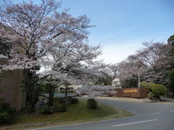 奈良 万葉若草の宿 三笠 1