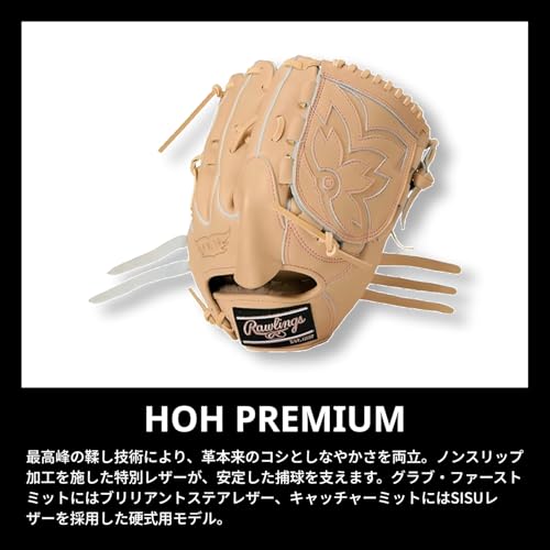 グローブ 7