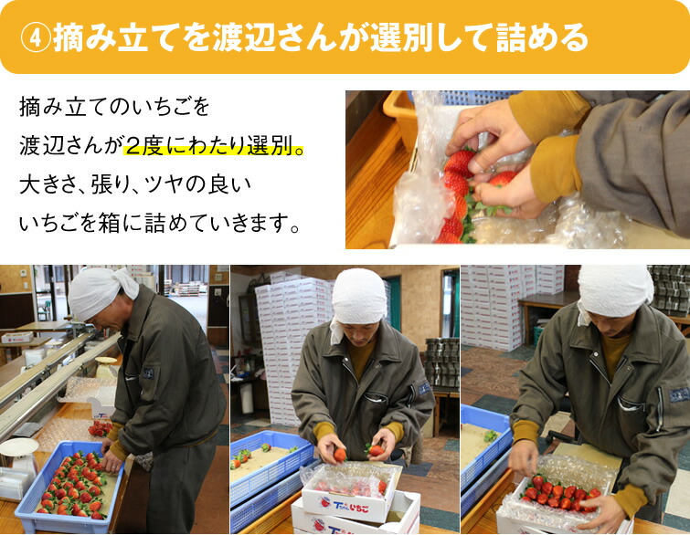 とちあいか 14