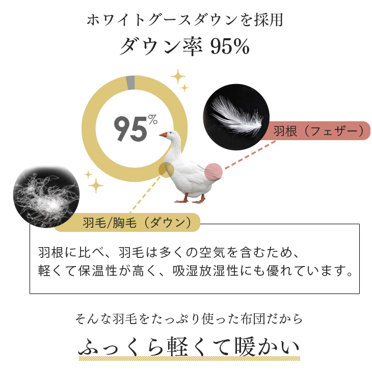 美の羽毛 9