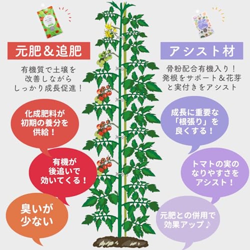 トマトおすすめセット 4