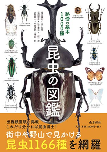 21年 昆虫図鑑のおすすめ人気ランキング13選 Mybest
