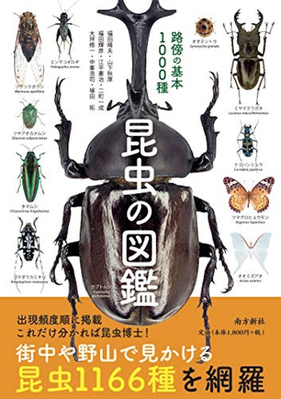 昆虫の図鑑 路傍の基本1000種 1