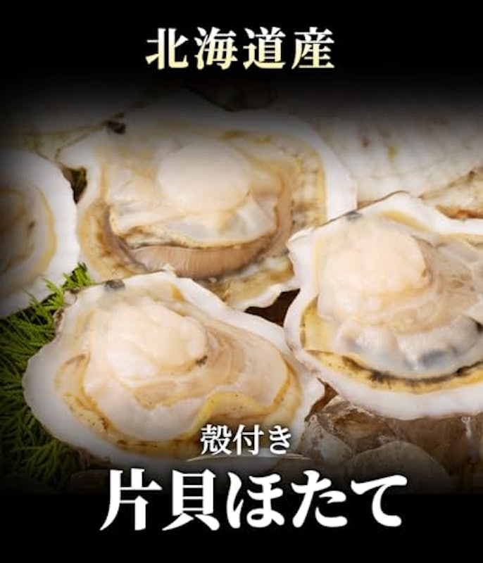 ほたて 2