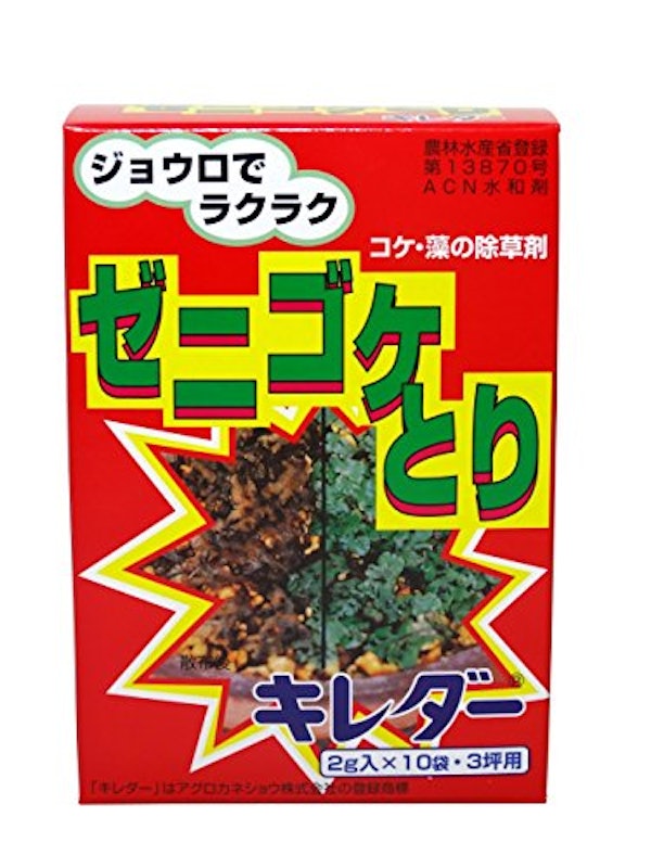 ゼニゴケとり 1