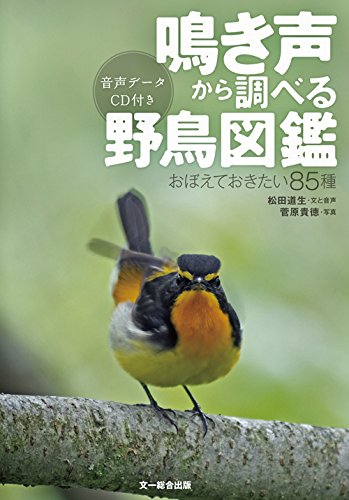 鳴き声から調べる野鳥図鑑 1