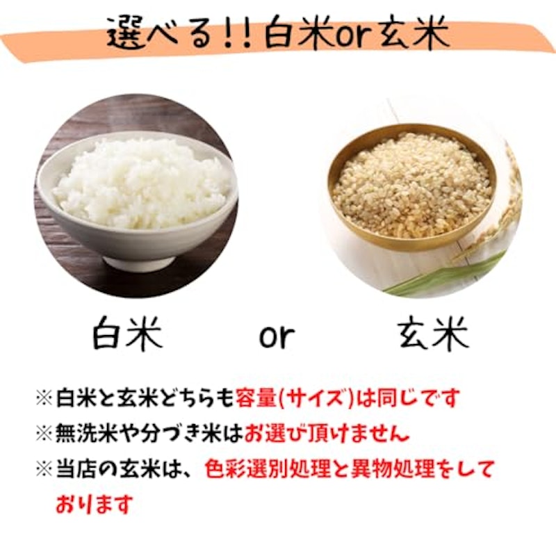 ひのひかり 4