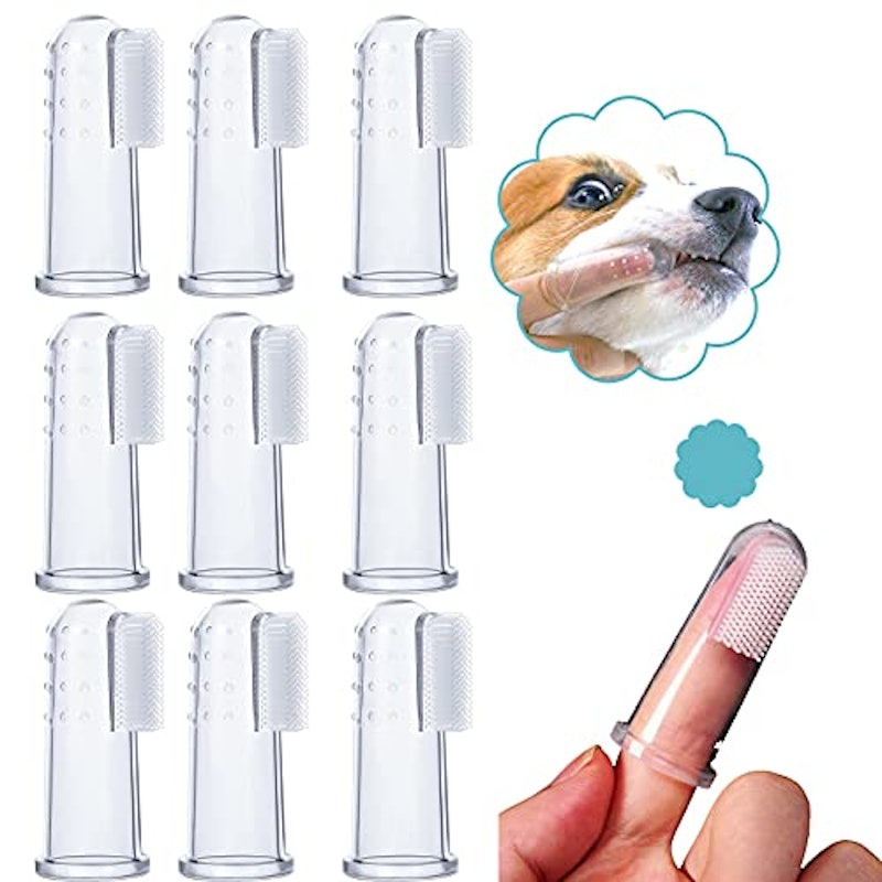犬用歯ブラシのおすすめ人気ランキング32選【2024年】