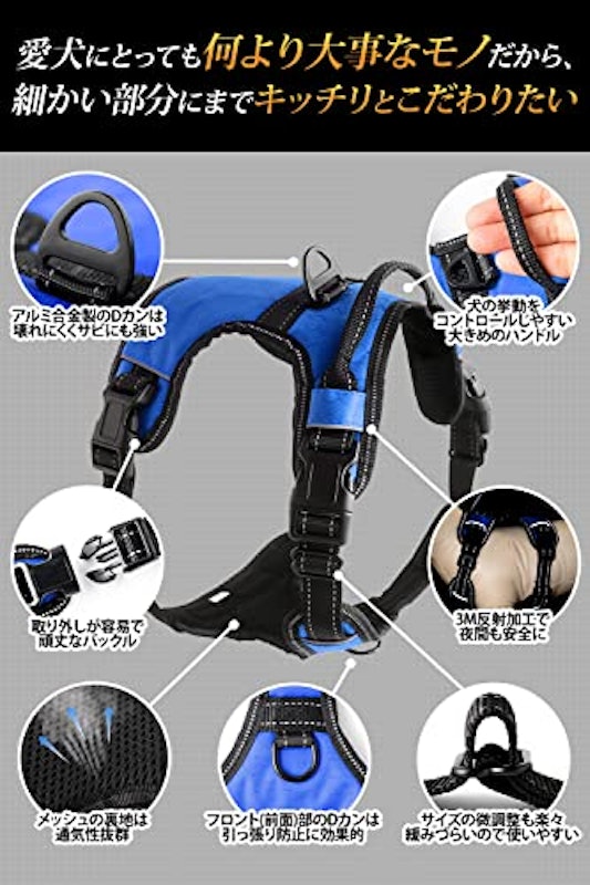 ラックネス 5