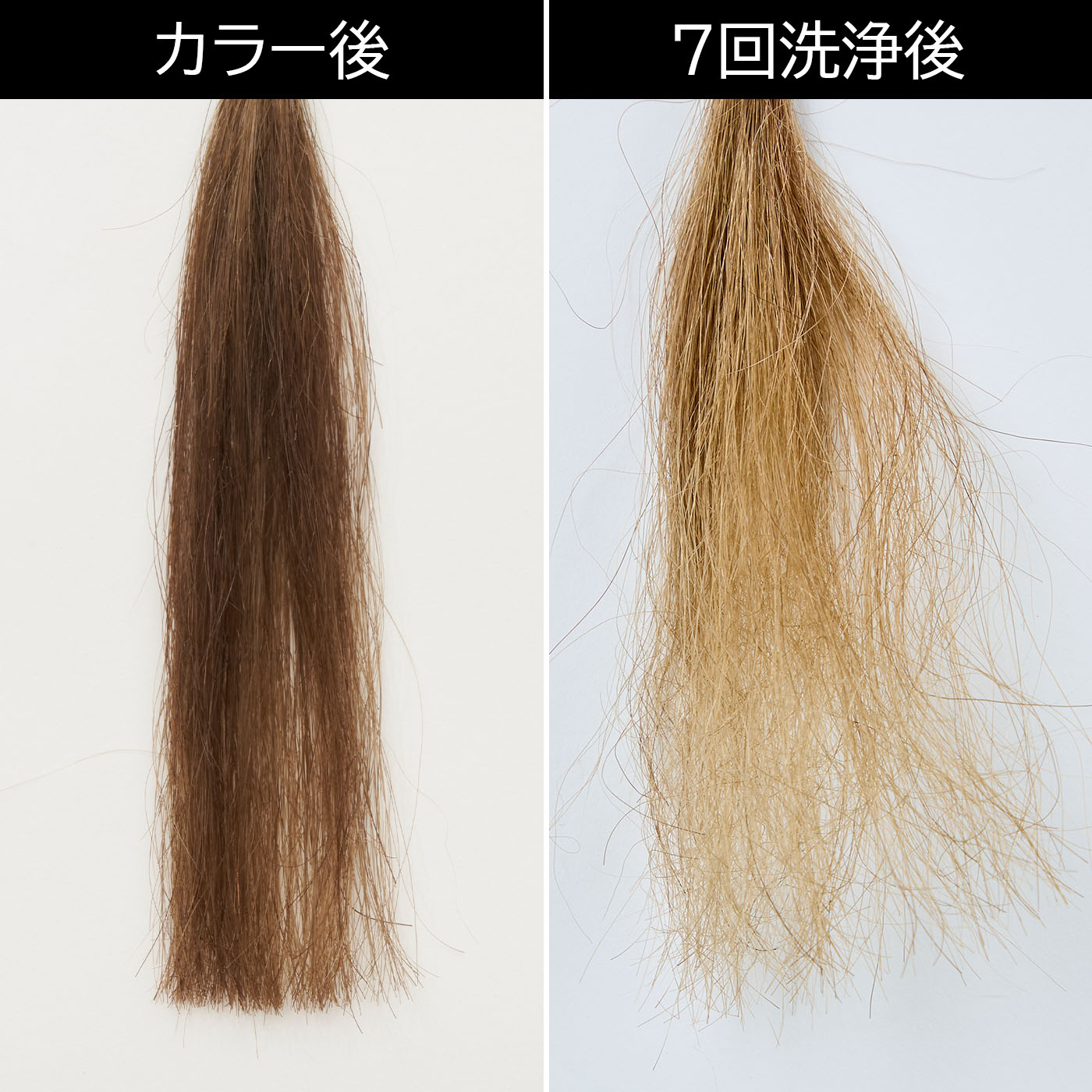 ムースカラー 4