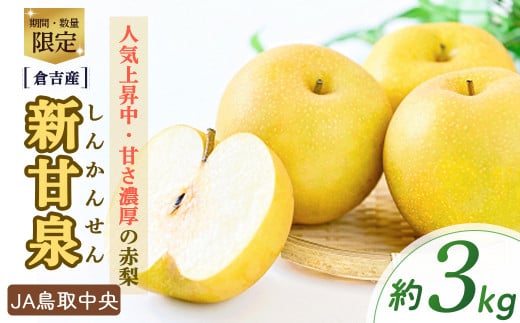 「無袋」新甘泉　16玉　5000g 無袋」新甘泉 16玉 5000g