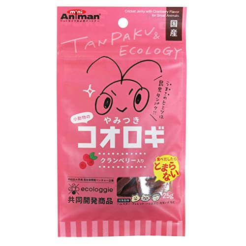 小動物のやみつきコオロギ 1