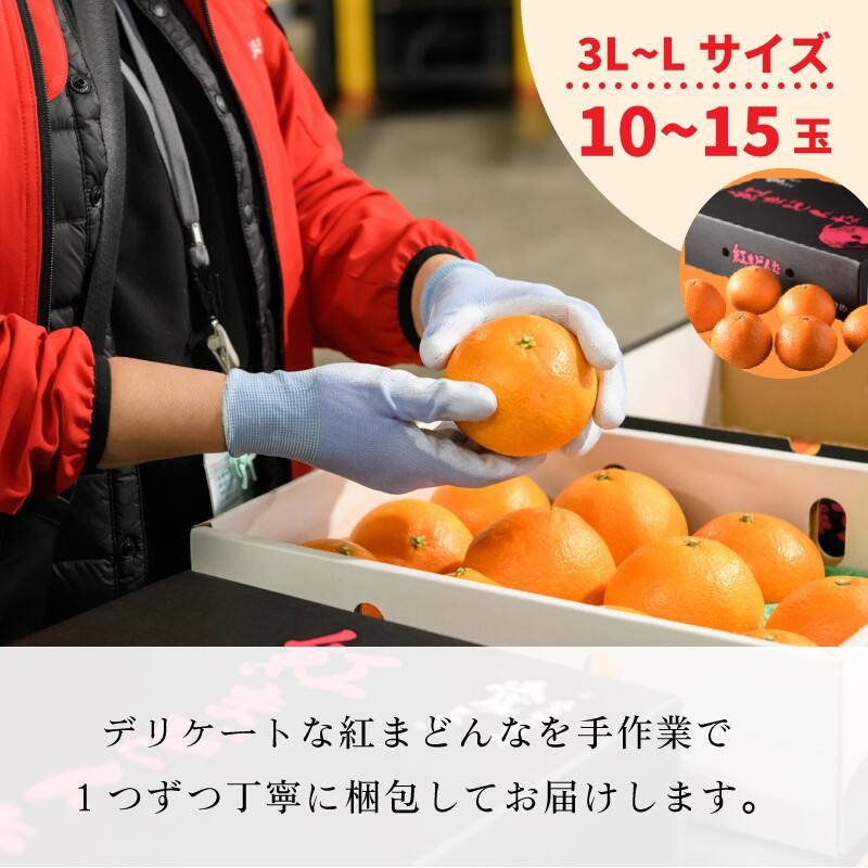紅まどんな 8