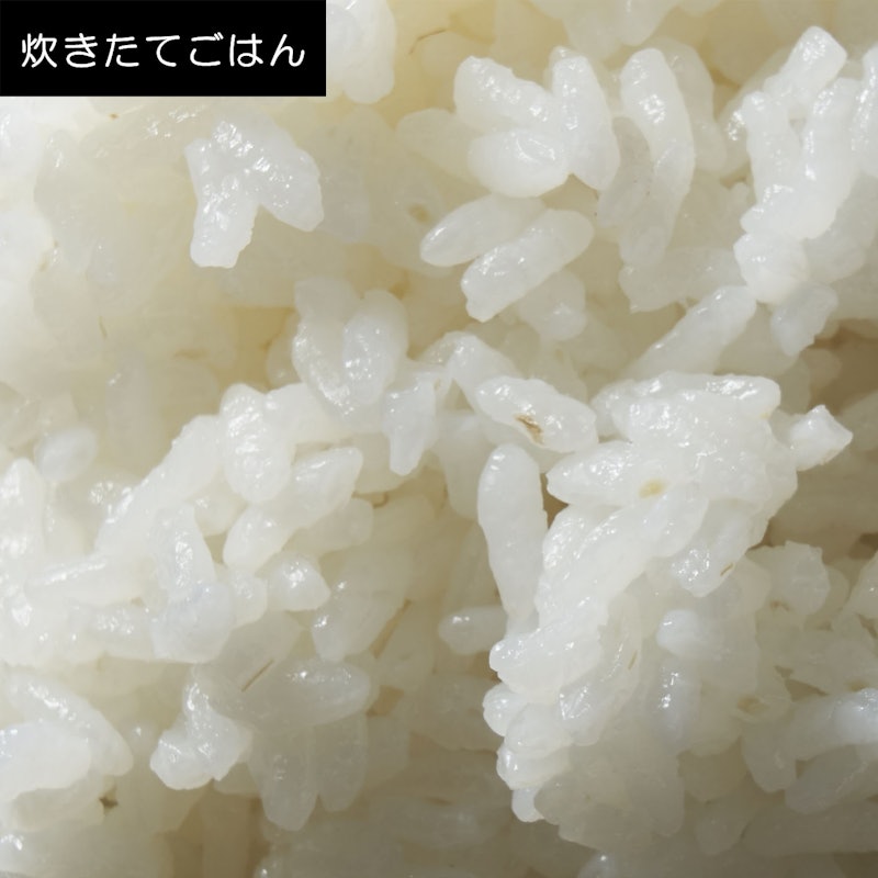 IH炊飯ジャー 10