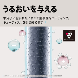 プラズマクラスタードライヤー  3