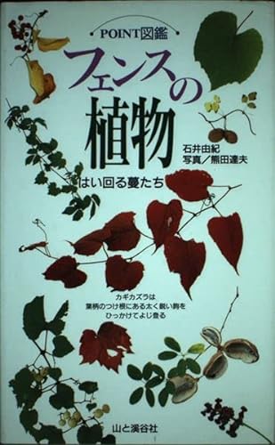 フェンスの植物 はい回る蔓たち 1