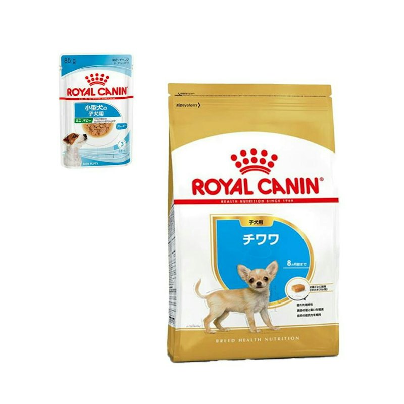 チワワ 子犬用ドライフード おまけ付き 1